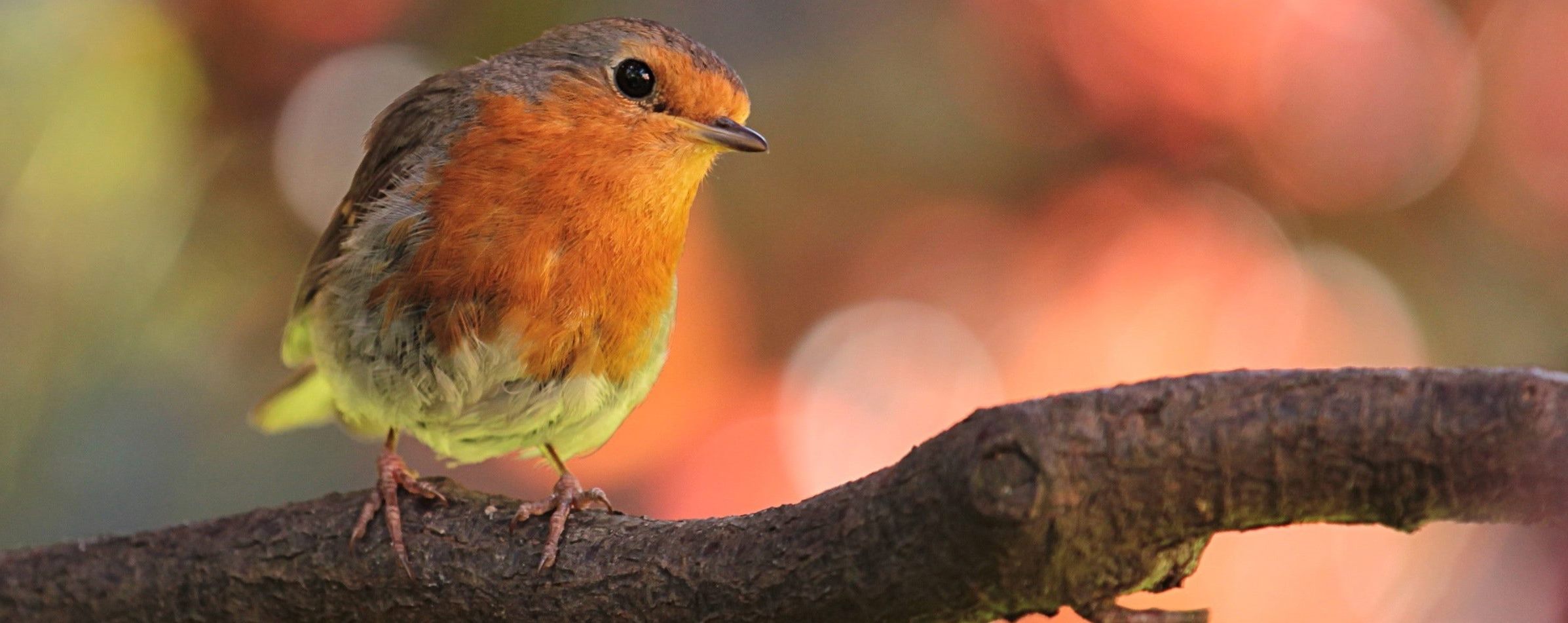 New Homes in Grand Forks ND & Devils Lake ND Crary Real Estate