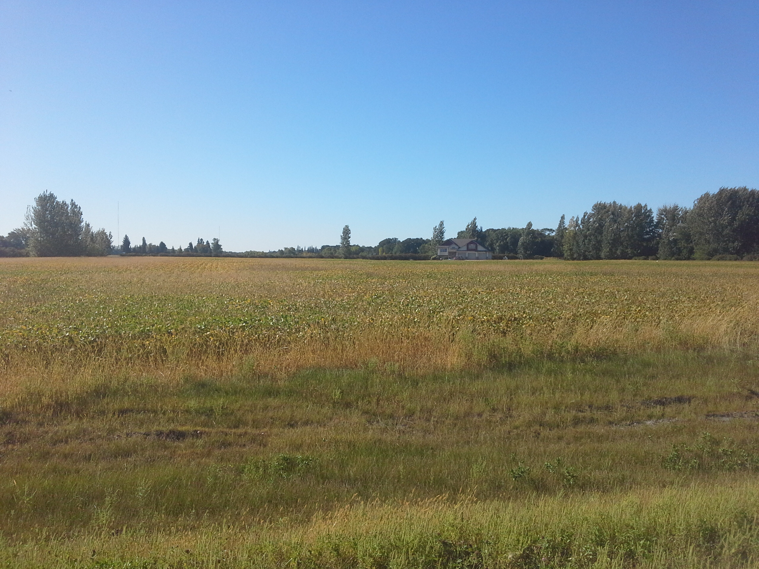 Homes in East Grand Forks ND